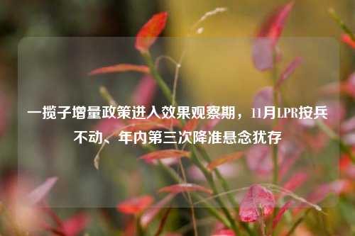 一揽子增量政策进入效果观察期，11月LPR按兵不动、年内第三次降准悬念犹存