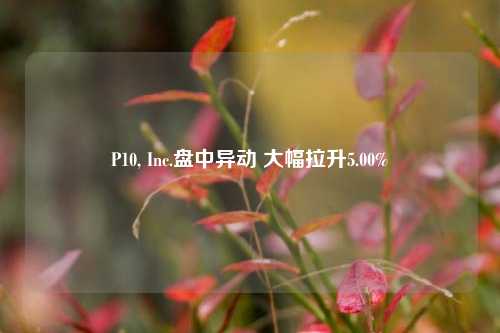 P10, Inc.盘中异动 大幅拉升5.00%