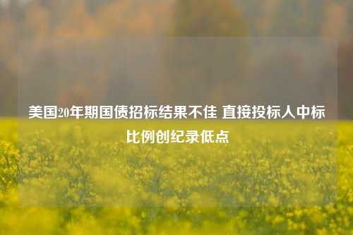 美国20年期国债招标结果不佳 直接投标人中标比例创纪录低点