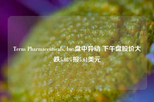 Terns Pharmaceuticals, Inc.盘中异动 下午盘股价大跌5.08%报5.61美元