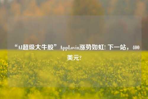 “AI超级大牛股”AppLovin涨势如虹! 下一站，400美元?