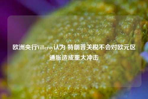 欧洲央行Villeroy认为 特朗普关税不会对欧元区通胀造成重大冲击