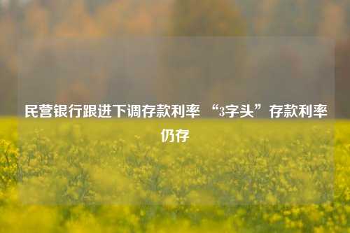 民营银行跟进下调存款利率 “3字头”存款利率仍存