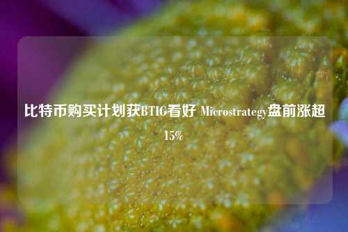 比特币购买计划获BTIG看好 Microstrategy盘前涨超15%