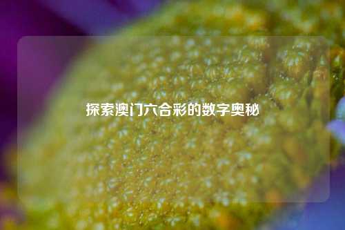 探索澳门六合彩的数字奥秘