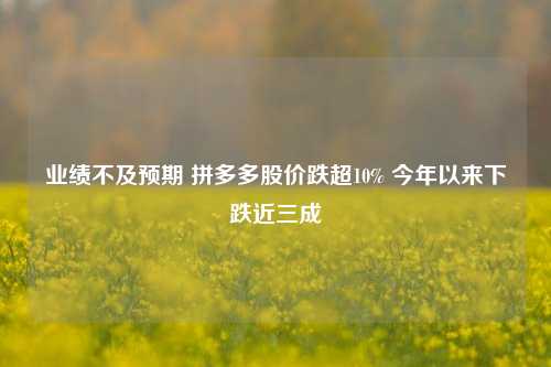 业绩不及预期 拼多多股价跌超10% 今年以来下跌近三成