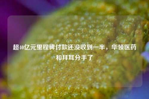 超40亿元里程碑付款还没收到一半，华领医药和拜耳分手了