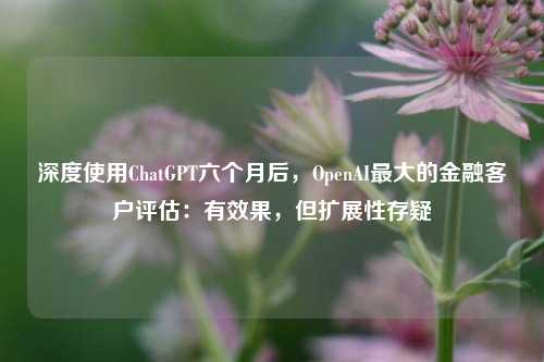 深度使用ChatGPT六个月后，OpenAI最大的金融客户评估：有效果，但扩展性存疑