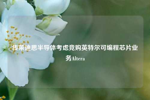 传莱迪思半导体考虑竞购英特尔可编程芯片业务Altera