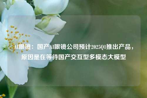 AI眼镜：国产AI眼镜公司预计2025Q1推出产品，原因是在等待国产交互型多模态大模型