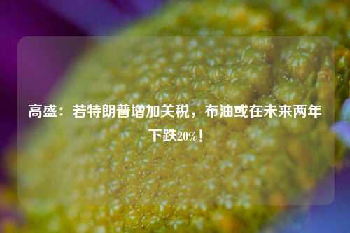 高盛：若特朗普增加关税，布油或在未来两年下跌20%！