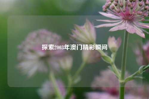 探索2003年澳门精彩瞬间