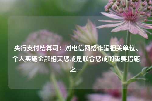 央行支付结算司：对电信网络诈骗相关单位、个人实施金融相关惩戒是联合惩戒的重要措施之一