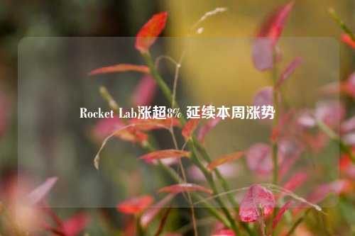 Rocket Lab涨超8% 延续本周涨势