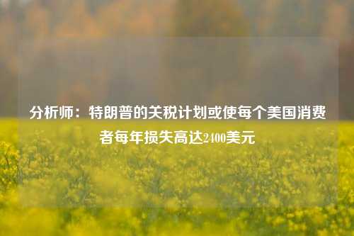 分析师：特朗普的关税计划或使每个美国消费者每年损失高达2400美元