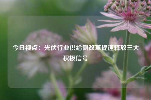 今日视点：光伏行业供给侧改革提速释放三大积极信号