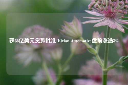 获66亿美元贷款批准 Rivian Automotive盘前涨逾8%