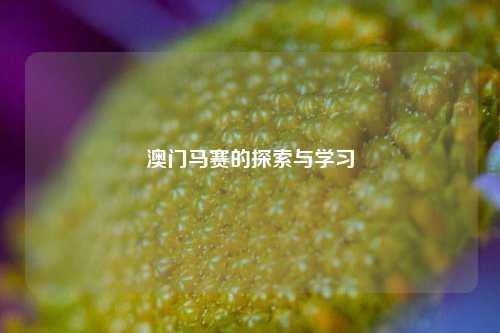 澳门马赛的探索与学习