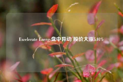 Excelerate Energy盘中异动 股价大涨5.01%