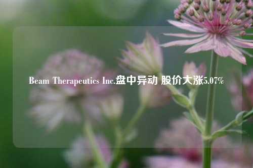 Beam Therapeutics Inc.盘中异动 股价大涨5.07%