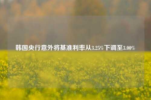 韩国央行意外将基准利率从3.25%下调至3.00%