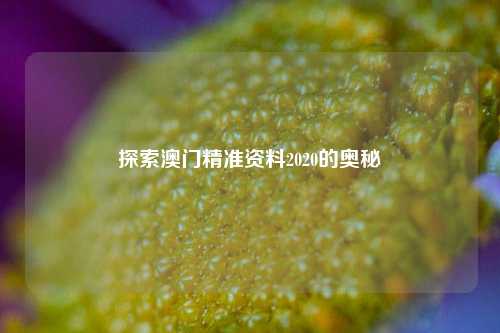 探索澳门精准资料2020的奥秘