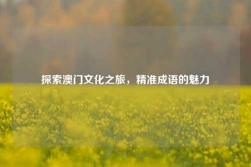 探索澳门文化之旅，精准成语的魅力