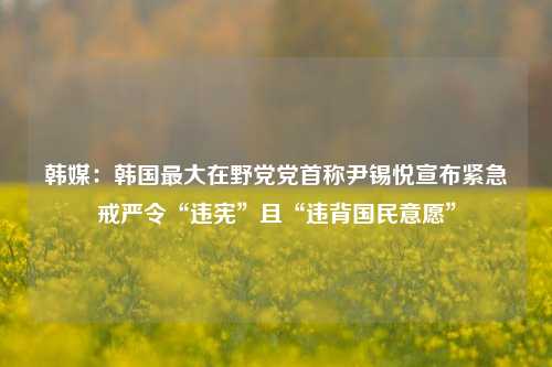 韩媒：韩国最大在野党党首称尹锡悦宣布紧急戒严令“违宪”且“违背国民意愿”