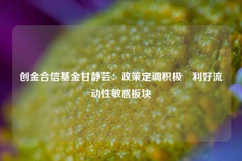 创金合信基金甘静芸：政策定调积极 利好流动性敏感板块