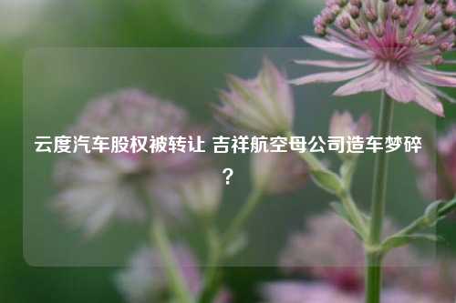 云度汽车股权被转让 吉祥航空母公司造车梦碎？