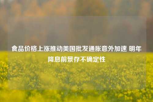 食品价格上涨推动美国批发通胀意外加速 明年降息前景存不确定性