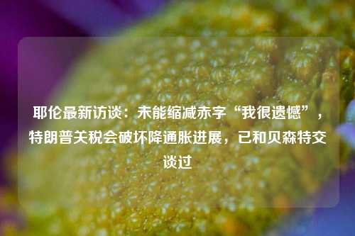 耶伦最新访谈：未能缩减赤字“我很遗憾”，特朗普关税会破坏降通胀进展，已和贝森特交谈过