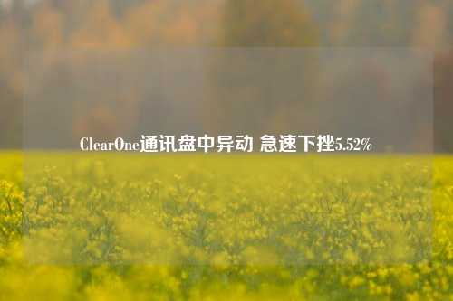 ClearOne通讯盘中异动 急速下挫5.52%