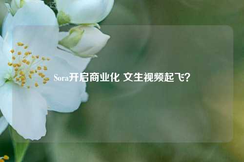 Sora开启商业化 文生视频起飞？