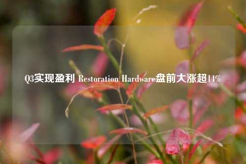 Q3实现盈利 Restoration Hardware盘前大涨超14%