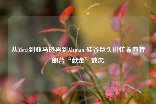 从Meta到亚马逊再到Altman 硅谷巨头们忙着向特朗普“献金”效忠