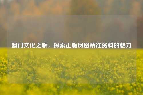 澳门文化之旅，探索正版凤凰精准资料的魅力