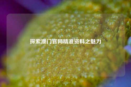 探索澳门官网精准资料之魅力