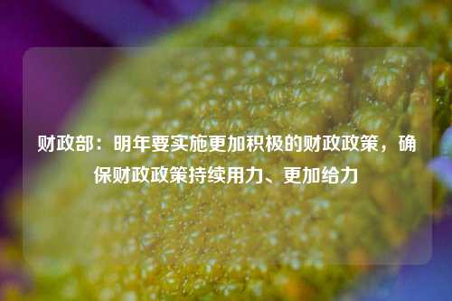 财政部：明年要实施更加积极的财政政策，确保财政政策持续用力、更加给力