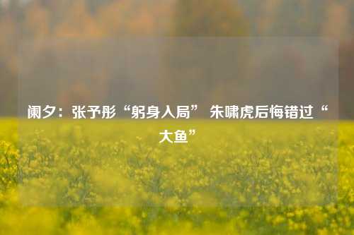 阑夕：张予彤“躬身入局” 朱啸虎后悔错过“大鱼”