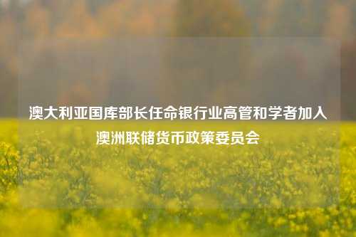 澳大利亚国库部长任命银行业高管和学者加入澳洲联储货币政策委员会