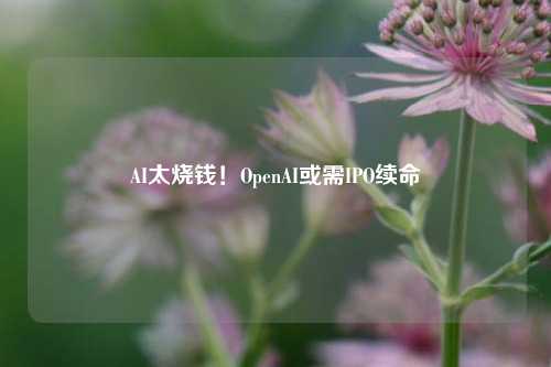 AI太烧钱！OpenAI或需IPO续命