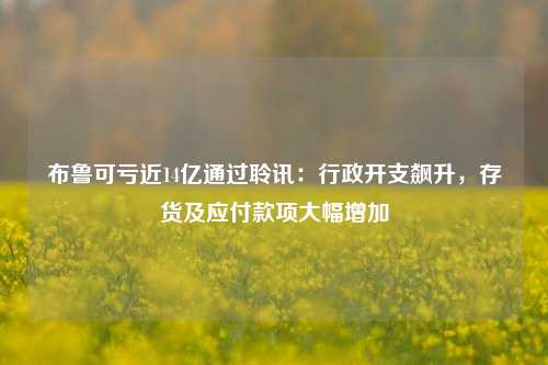 布鲁可亏近14亿通过聆讯：行政开支飙升，存货及应付款项大幅增加