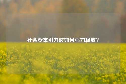 社会资本引力波如何强力释放？