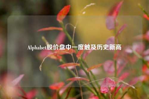 Alphabet股价盘中一度触及历史新高