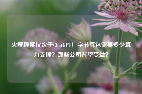 火爆程度仅次于ChatGPT！字节豆包需要多少算力支撑？哪些公司有望受益？