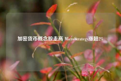 加密货币概念股走高 MicroStrategy涨超2%